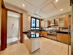 Ardmore Park (D10), Condominium #500625681
